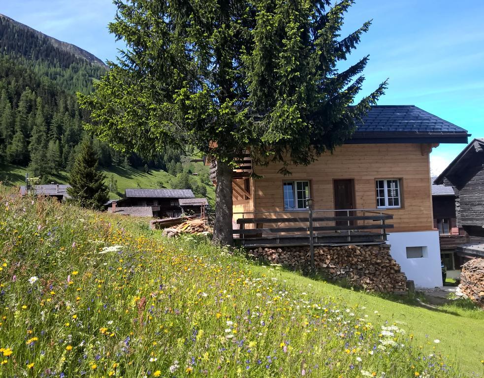 Chalet Daheim Reckingen المظهر الخارجي الصورة